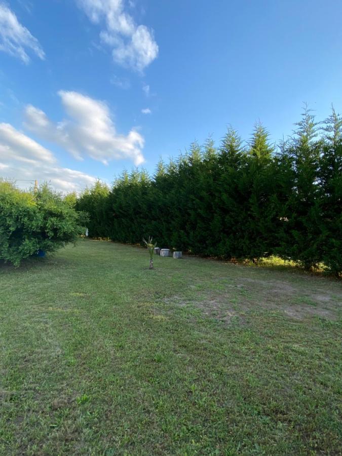 Au Paradis D'Alsace 55 M2 Nature & Relax Ingwiller Esterno foto