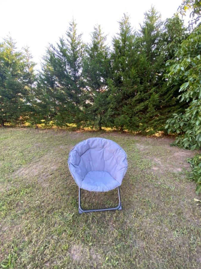 Au Paradis D'Alsace 55 M2 Nature & Relax Ingwiller Esterno foto