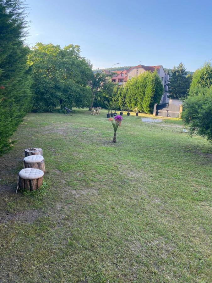 Au Paradis D'Alsace 55 M2 Nature & Relax Ingwiller Esterno foto