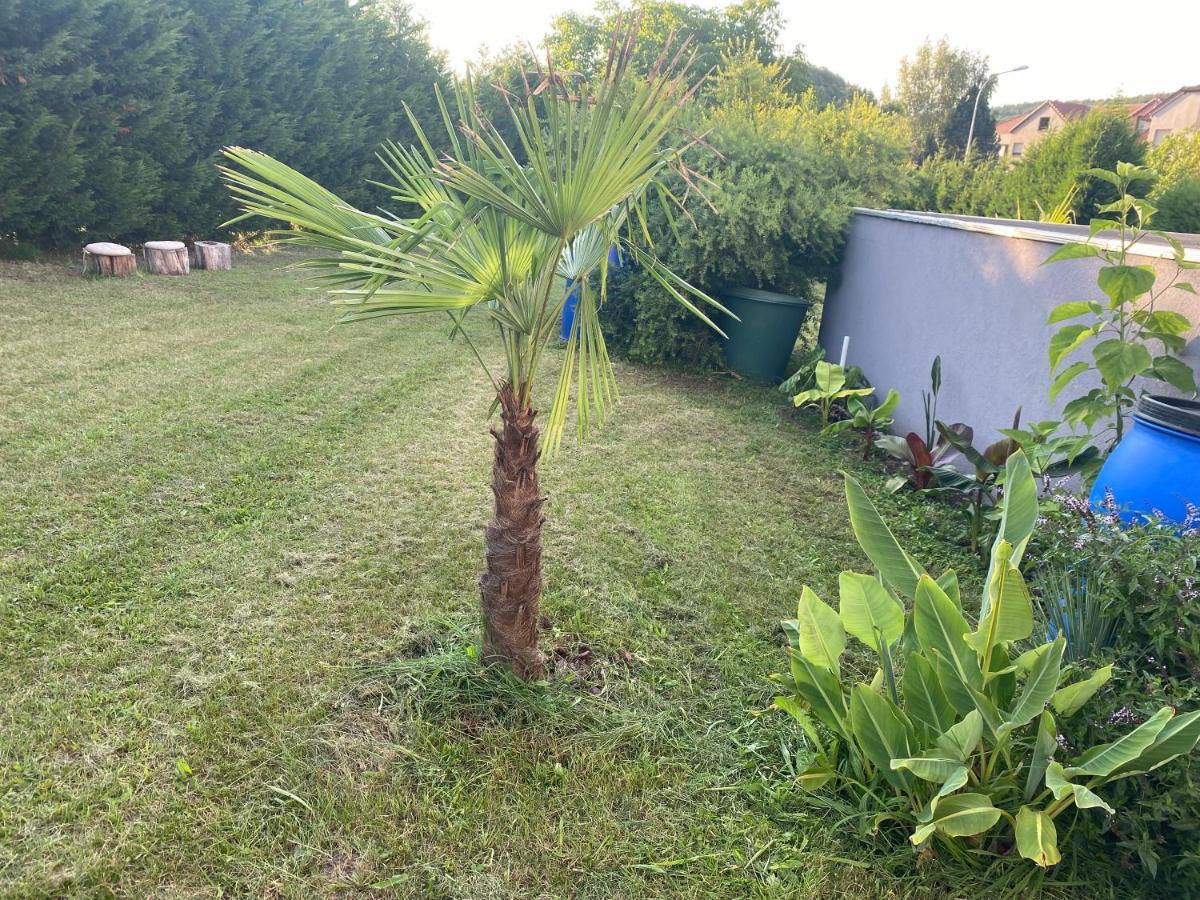 Au Paradis D'Alsace 55 M2 Nature & Relax Ingwiller Esterno foto