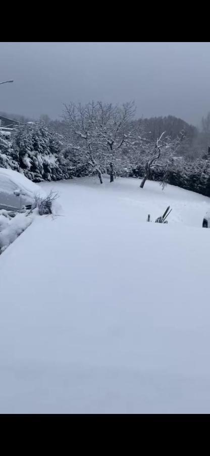 Au Paradis D'Alsace 55 M2 Nature & Relax Ingwiller Esterno foto