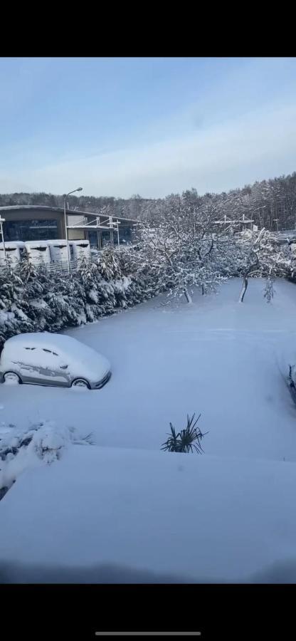 Au Paradis D'Alsace 55 M2 Nature & Relax Ingwiller Esterno foto