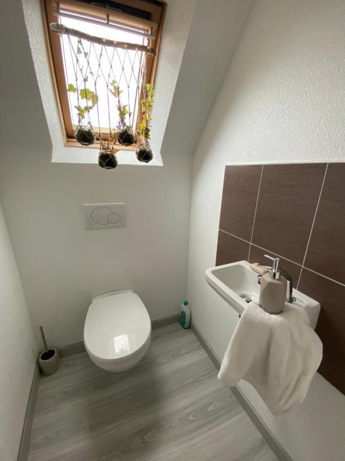 Au Paradis D'Alsace 55 M2 Nature & Relax Ingwiller Esterno foto