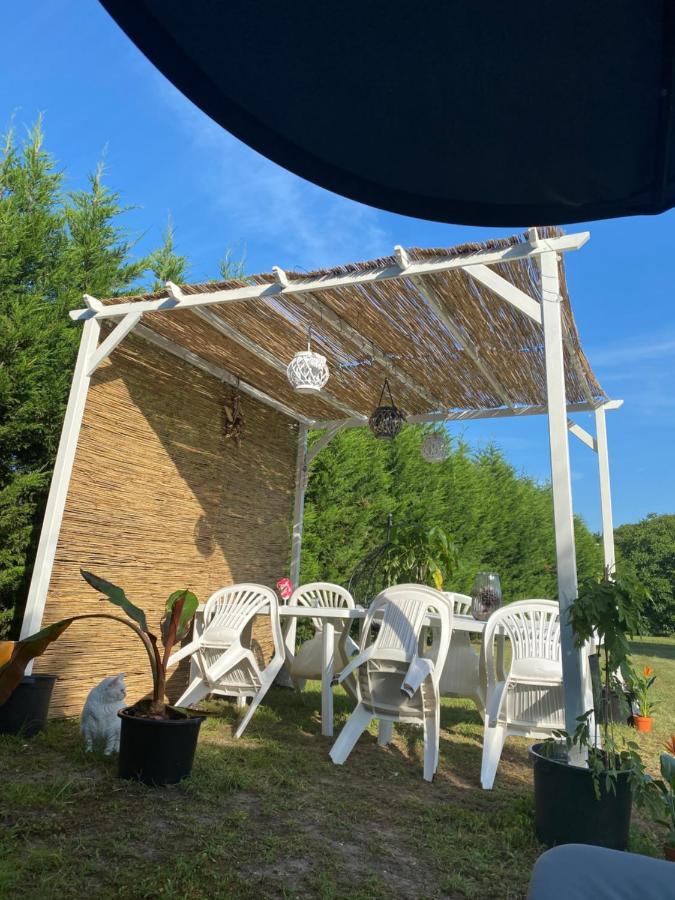 Au Paradis D'Alsace 55 M2 Nature & Relax Ingwiller Esterno foto