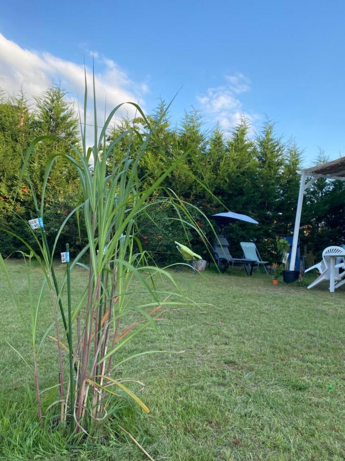 Au Paradis D'Alsace 55 M2 Nature & Relax Ingwiller Esterno foto