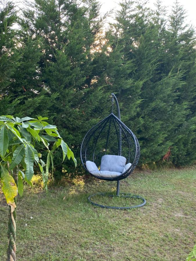 Au Paradis D'Alsace 55 M2 Nature & Relax Ingwiller Esterno foto